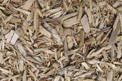 biomass boilers Eakring
